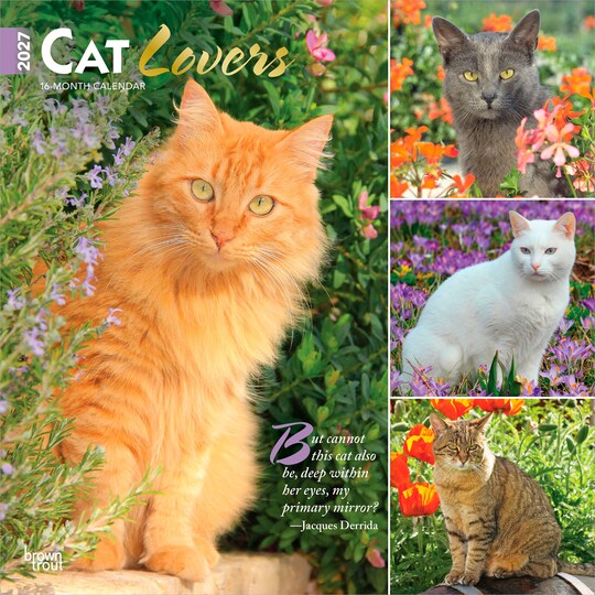 BrownTrout; Cat Lovers | 2027 12 x 24 Inch (Hanging) Monthly Square Wall Calendar | Foil Stamped Cover | Plastic-Free; Category:Wall Calendars; Image:1